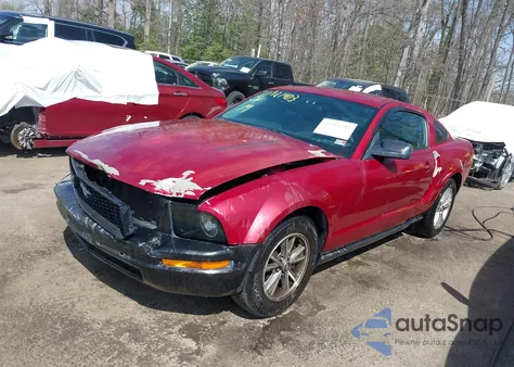 2005 Ford Mustang V6 Deluxe/V6 Premium из США, поврежденный, VIN 1ZVFT80NX55119984